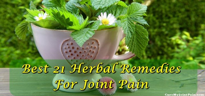 Best 21 Herbal Remedies For Joint Pain