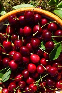Is Cherry Juice Good For Arthritis? 6 Benefits Of Cherry Juice In Arthritis