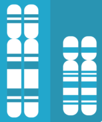 Top 7 Causes Of Hip Joint Pain In Dogs