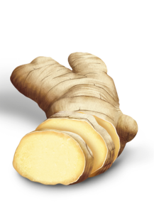 Is Ginger Good For Joint Pain? Tradition Vs. Science