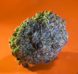 Is Marijuana Good For Arthritis? The Good & The Bad
