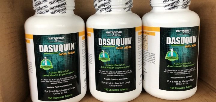 My Review: Dasuquin For Dogs - Is It Worth All Those Money?