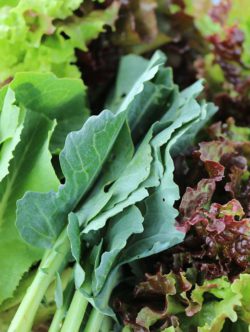 The Paleo Diet For Arthritis - Good Or Bad?