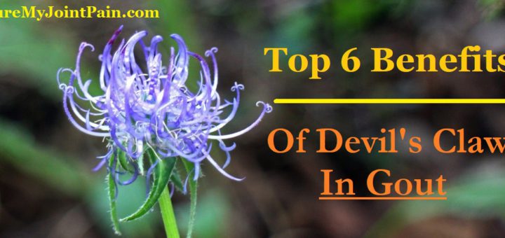Top 6 Benefits Of Devil's Claw In Gout