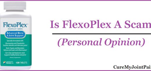 Is FlexoPlex A Scam? (Personal Review)