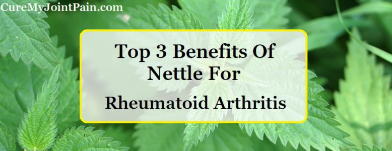 Top 3 Benefits Of Nettle For Rheumatoid Arthritis